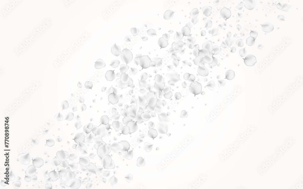 White_petals_gray_background_407.eps