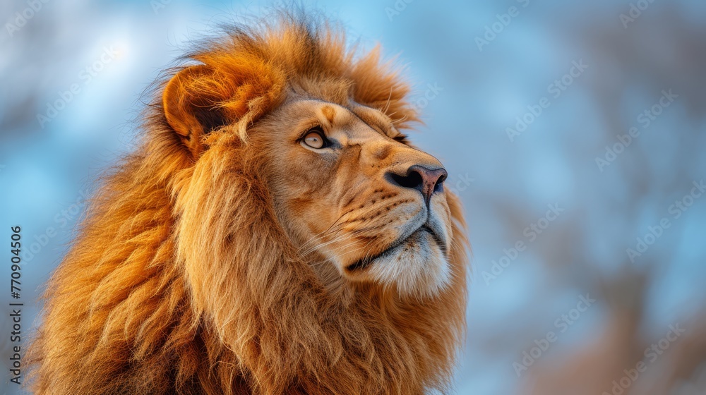   A tight shot of a lion's expressive face against a backdrop of azure sky, framed by trees in the foreground