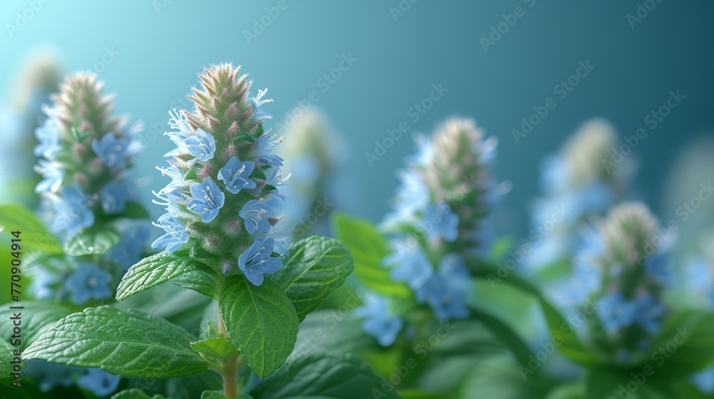   A tight shot of a cluster of blue blooms against a backdrop of green foliage in the foreground, and a blue expanse above as the background