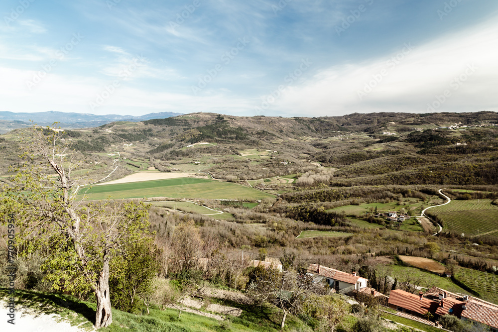 Springtime in the croatian countryside