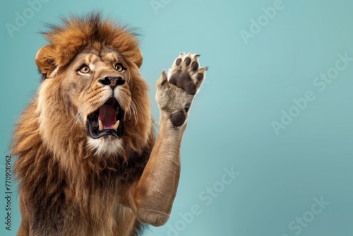 funny surprised lion raising hand