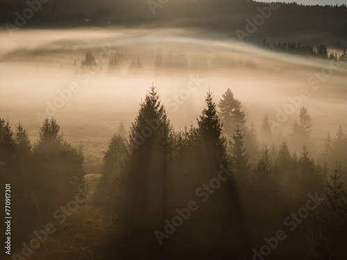 Early morning mountain landscape mist