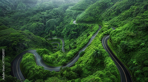 A captivating bird's-eye view of a graceful road winding through a lush green forest during the rain season, creating a mesmerizing visual spectacle.