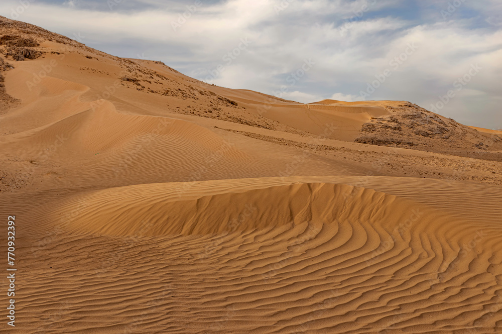 Sand dune in the Negev desert. - obrazy, fototapety, plakaty 