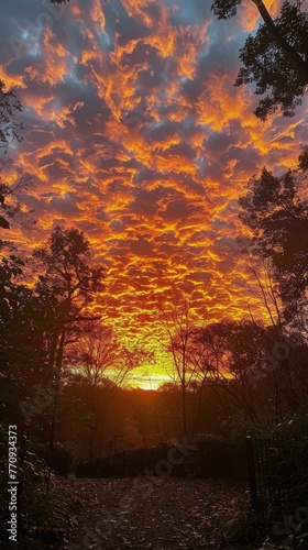Vibrant Sunset With Clouds