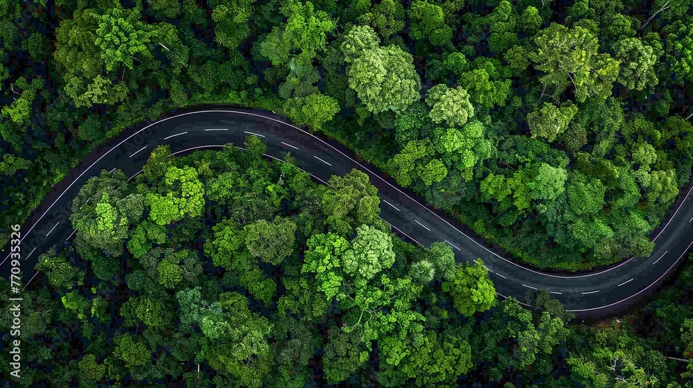 An exquisite top-down photograph capturing the serpentine route of a road surrounded by a dense green canopy of trees in the rainy season.