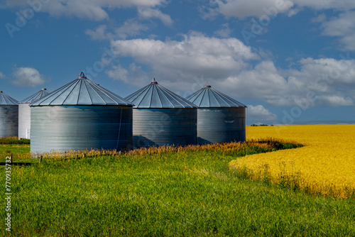 Foothills County, Alberta, Canada