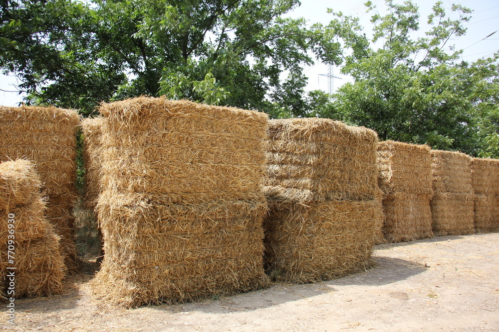 Straw is the dry stems of cereal crops remaining after threshing. Straw is the dry stems of cereal crops remaining after threshing.