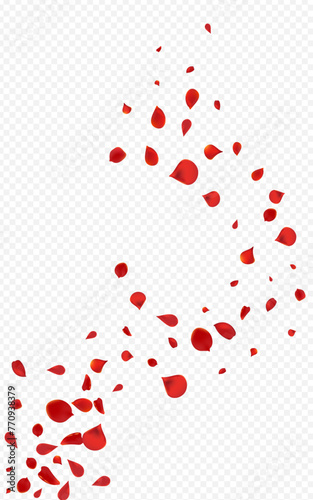 Red_Rose_Petal_Transparent_Background_215.eps