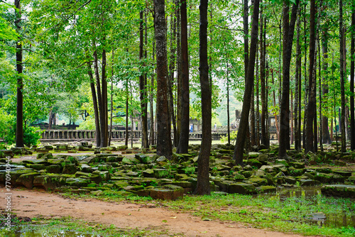 Bayon Temple - outer grounds  woods and pool at Siem Reap  Cambodia  Asia