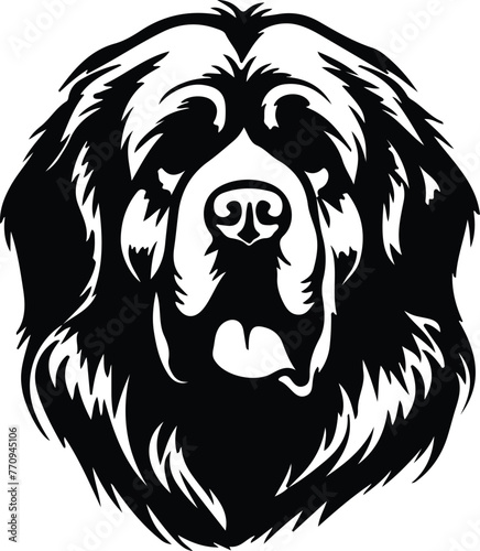 Tibetan Mastiff portrait