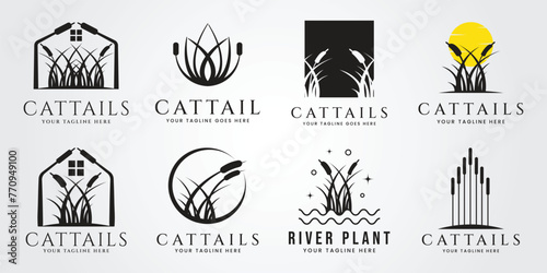 set bundle cattails plant silhouette logo vector illustration design