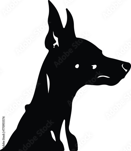Xoloitzcuintli Mexican Hairless Dog portrait