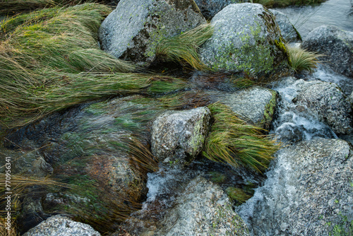 Stones, grass and mountain river
