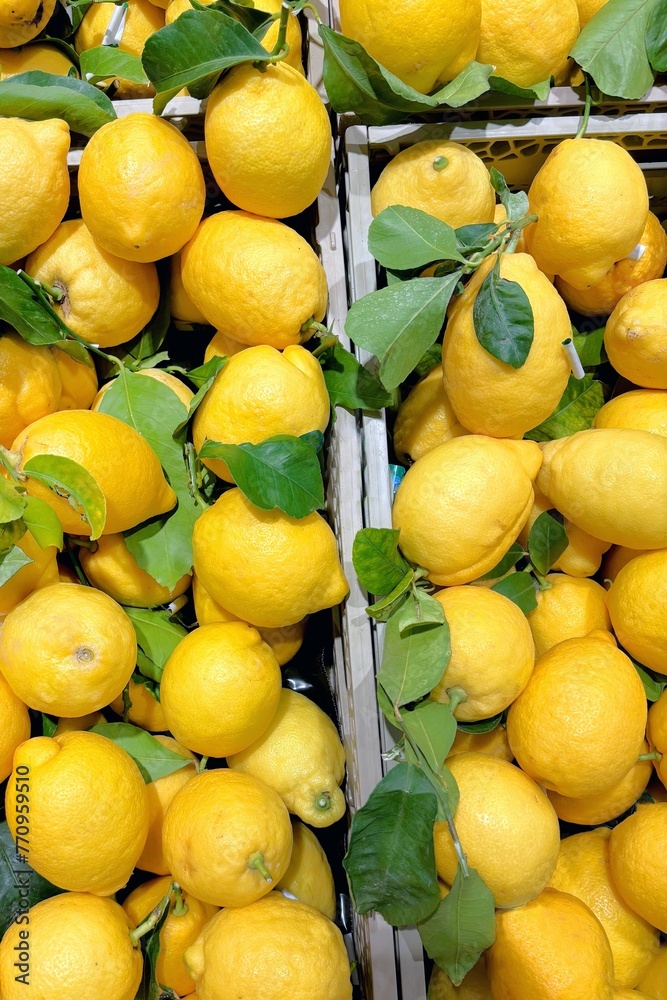 limoni al mercato, lemons at the market 