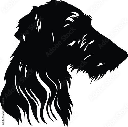 Scottish Deerhound portrait