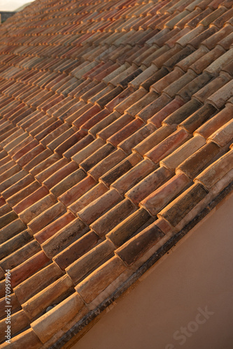 Terracotta tiled roof with golden hour light.