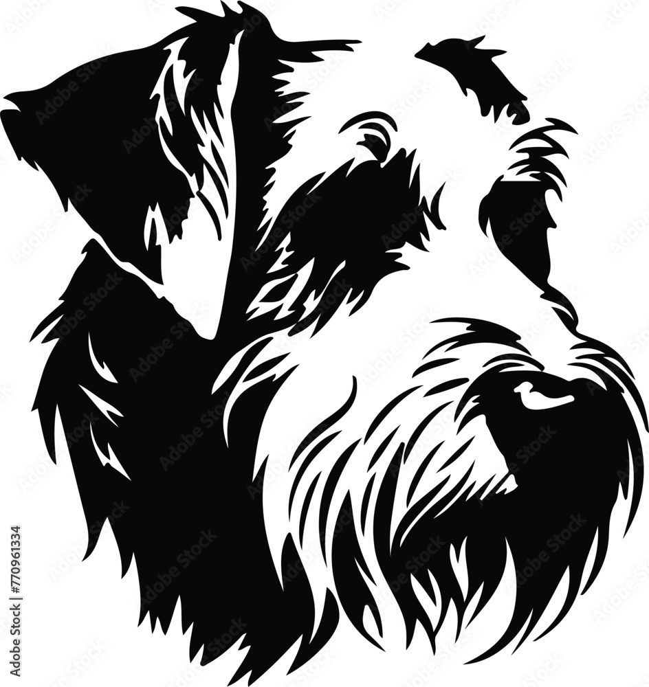 Sealyham Terrier portrait Sealyham Terrier portrait