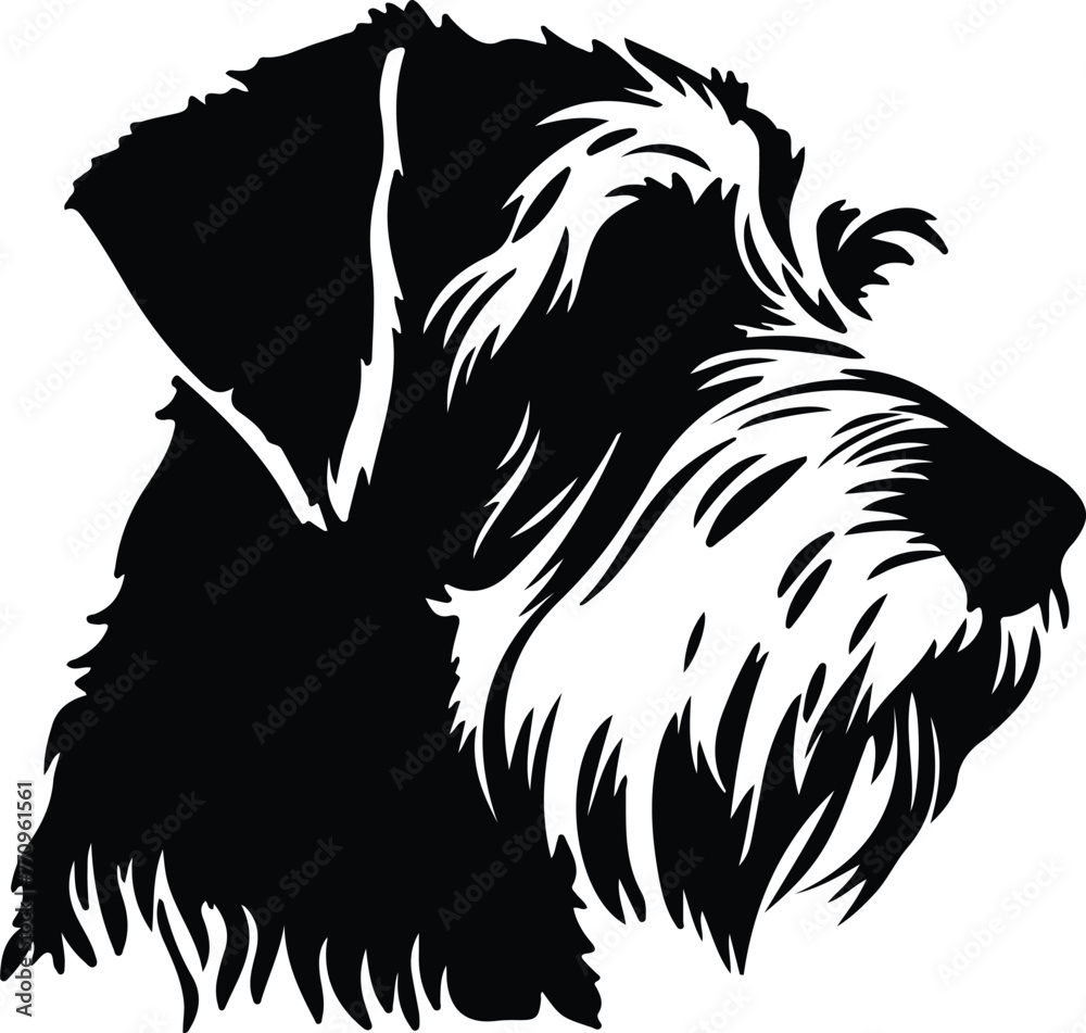 Sealyham Terrier portrait Sealyham Terrier portrait