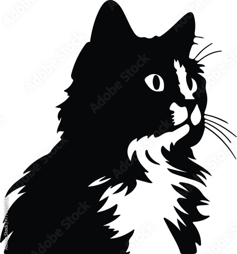 Selkirk Rex Cat portrait