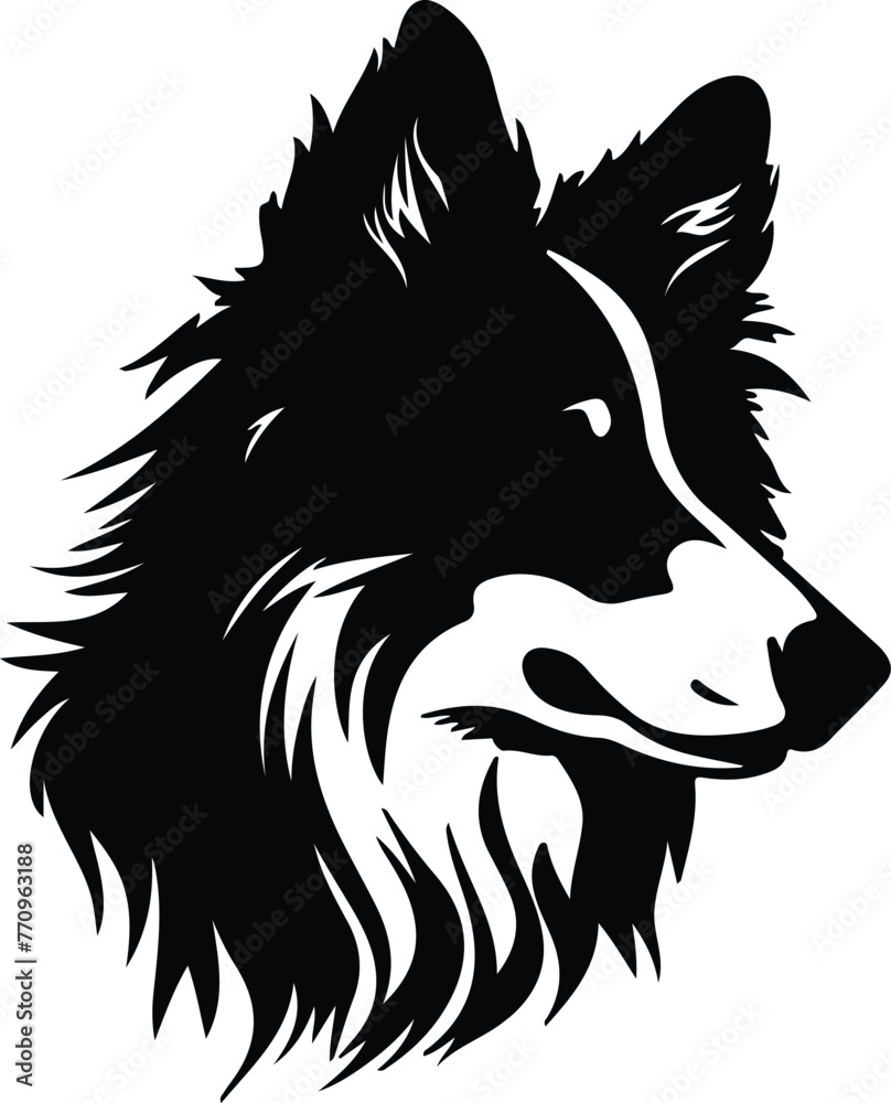 Shetland Sheepdog portrait Shetland Sheepdog portrait