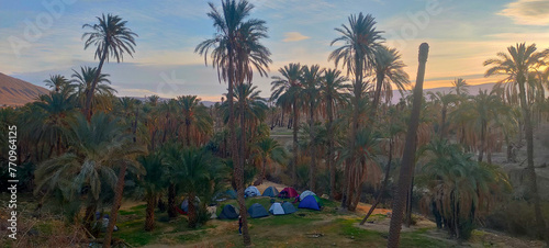 Camping amidst palm trees in the village Dechra Hamra, the town of El Kantara. Biskra. Algeria photo