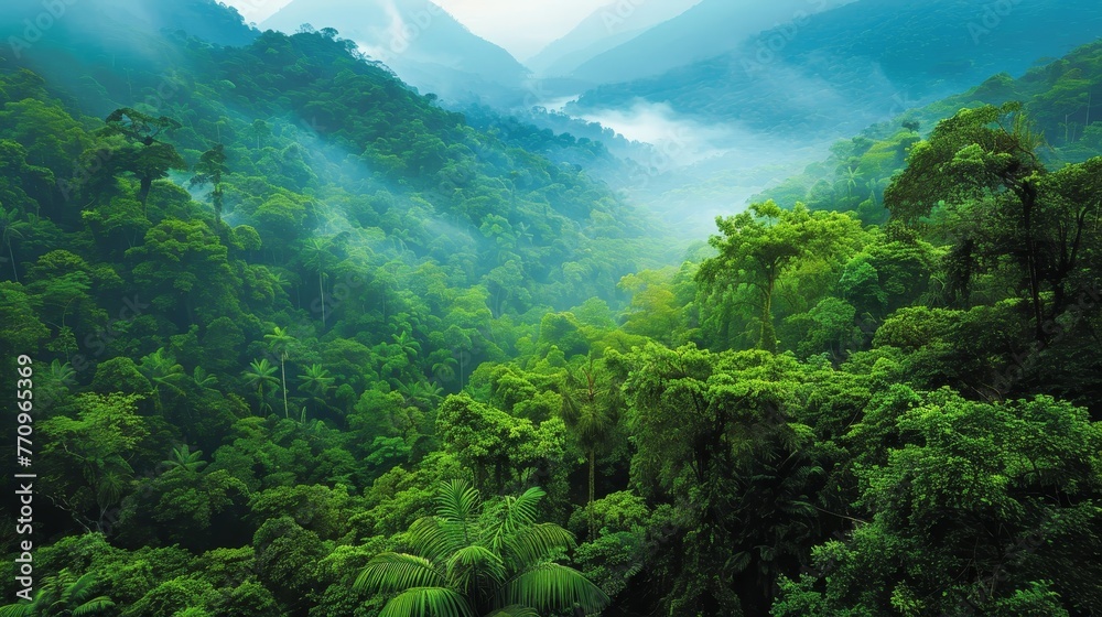 A lush green forest with a misty, foggy atmosphere. The trees are tall and dense, creating a sense of depth and mystery. The mist adds an ethereal quality to the scene