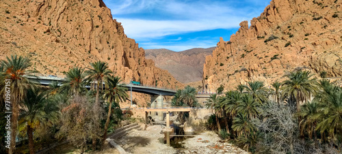 Panoramic view of the Kantara Gorges, the river and the palm trees in the town of El Kantara. Biskra. Algeria