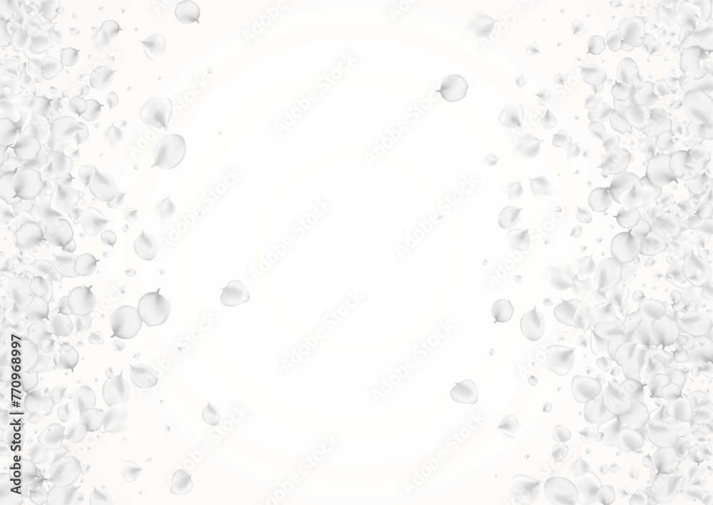 White_petals_gray_background_247.eps