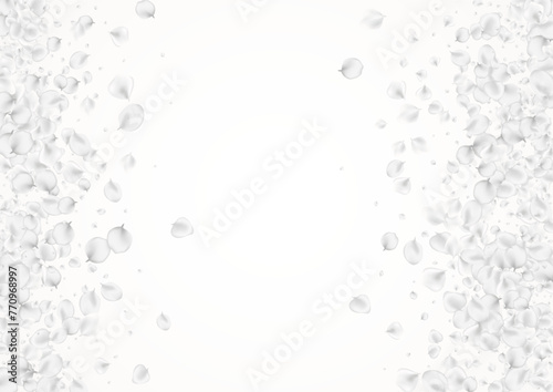 White_petals_gray_background_247.eps