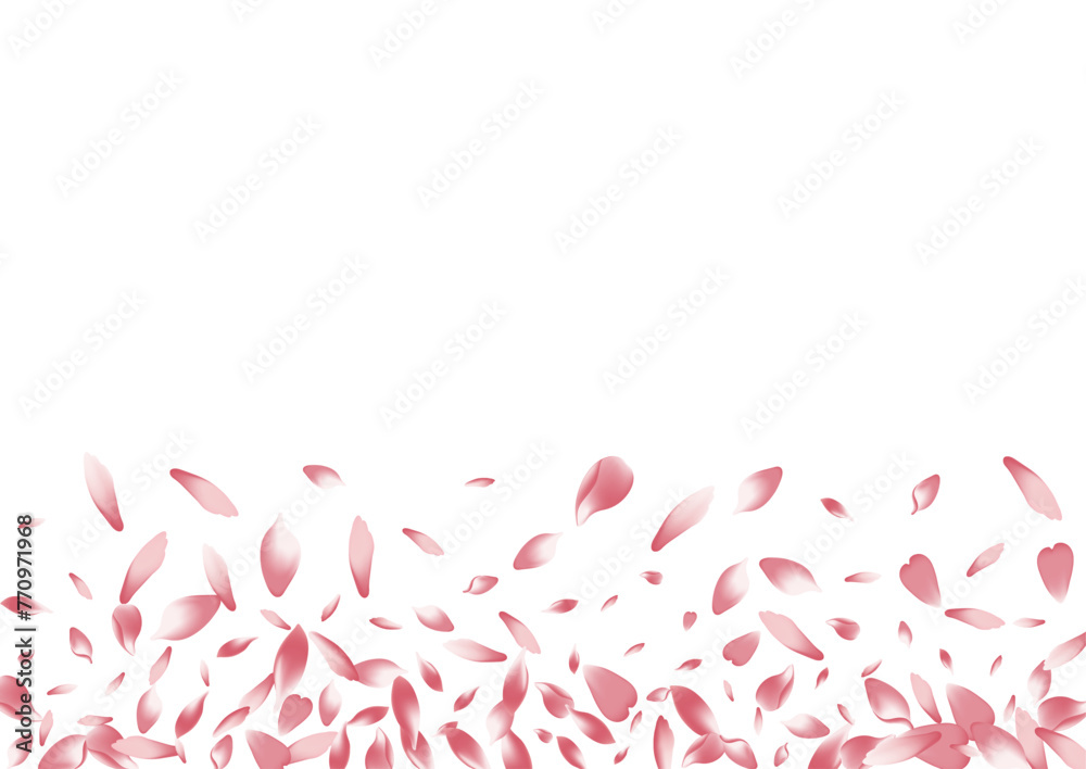 2400x17009__Pudra2_01.eps 2400x17009__Pudra2_01.eps