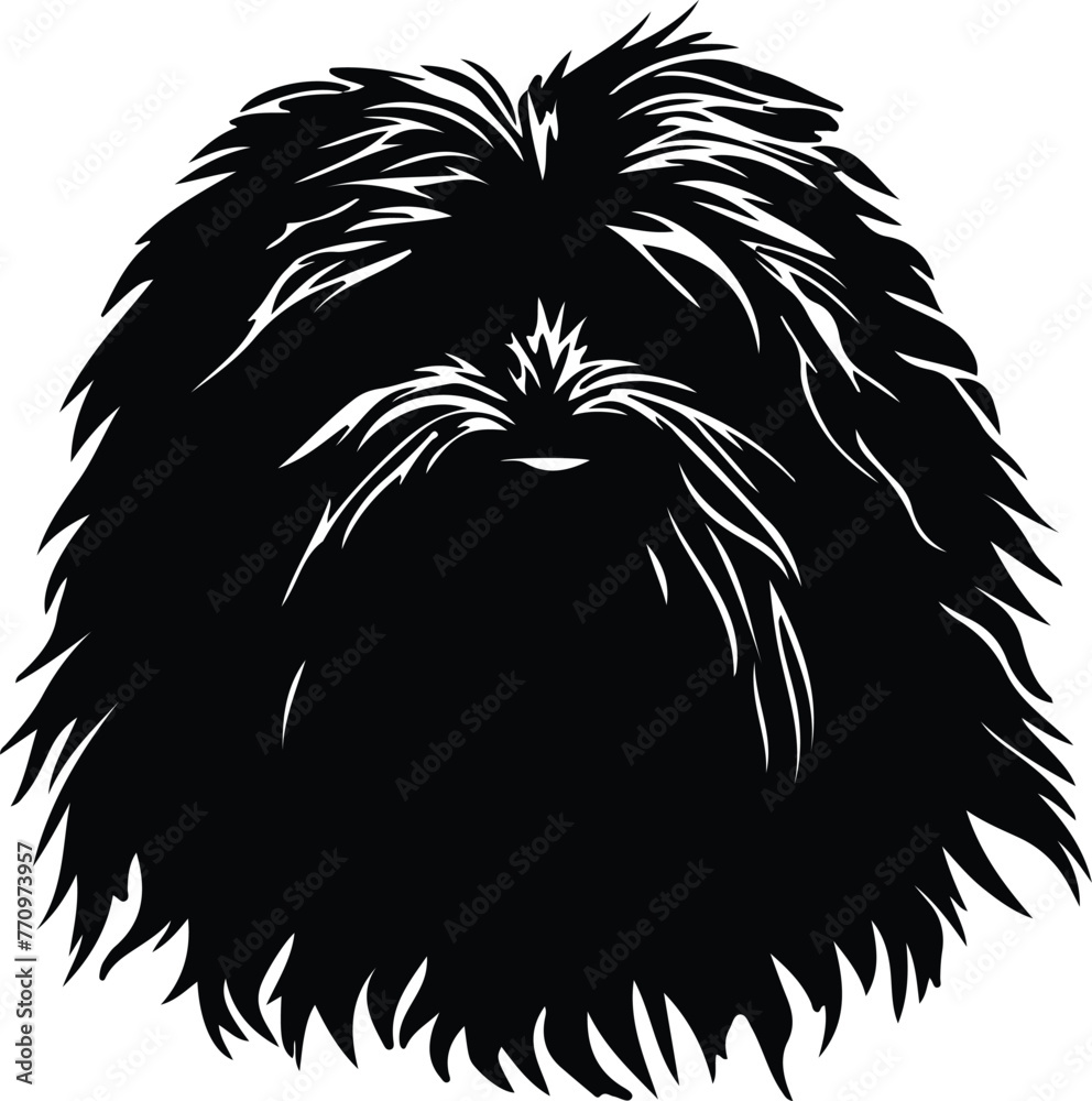 Puli portrait Puli portrait