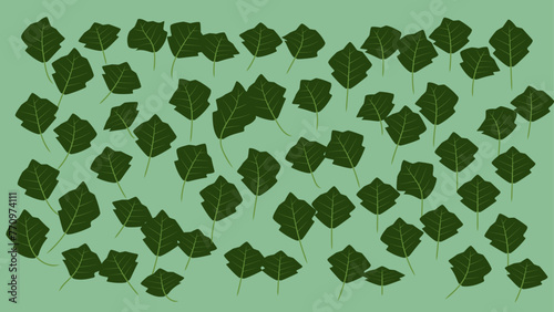 espinacas