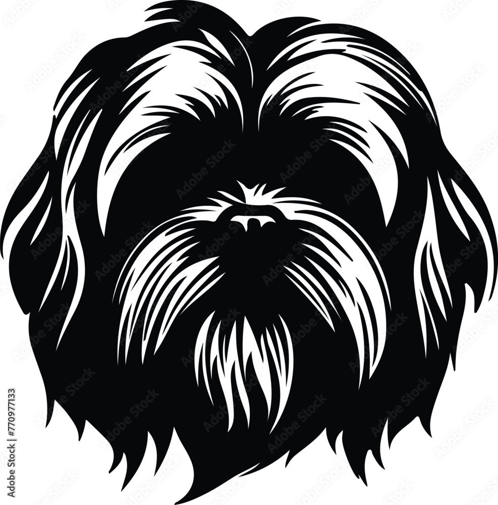 Lhasa Apso portrait