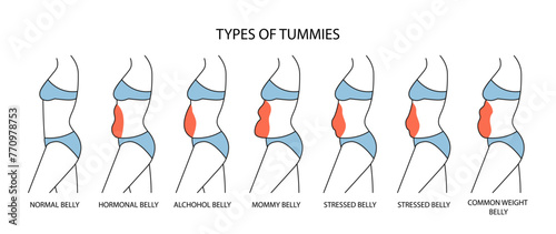 Types of tummies vector doodle set