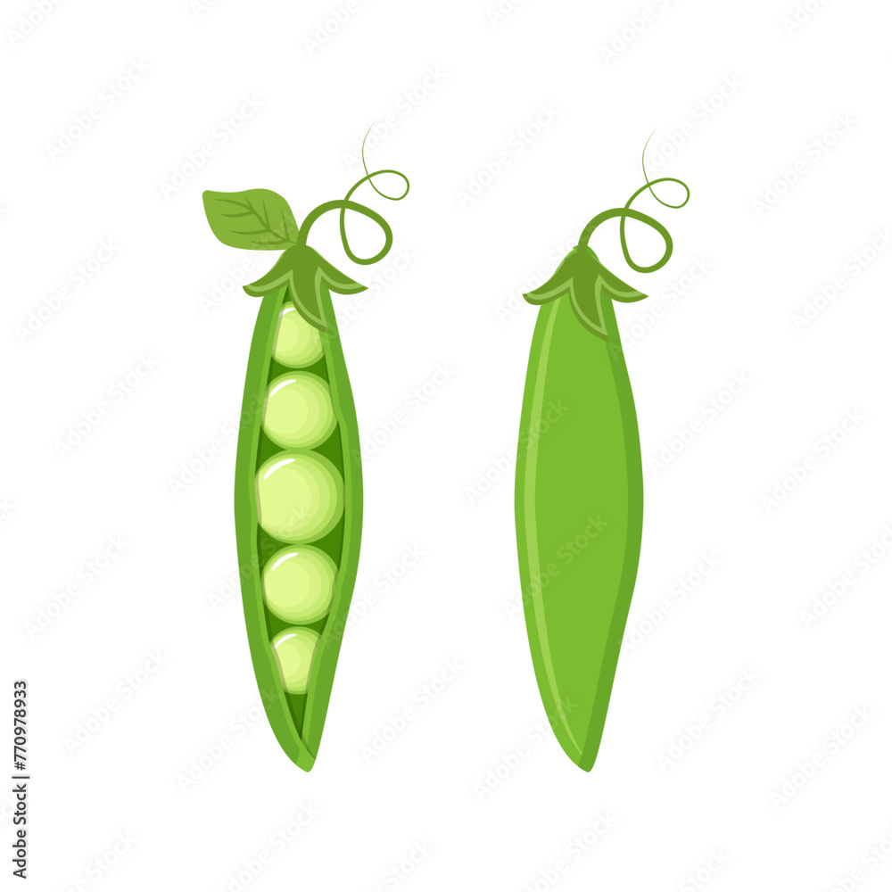 Set of two green peas isolated on white background vector illustration