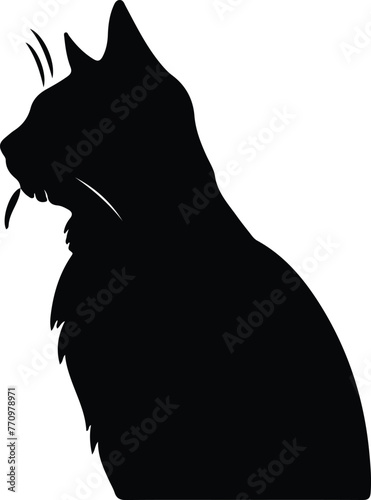 Manx Cat portrait