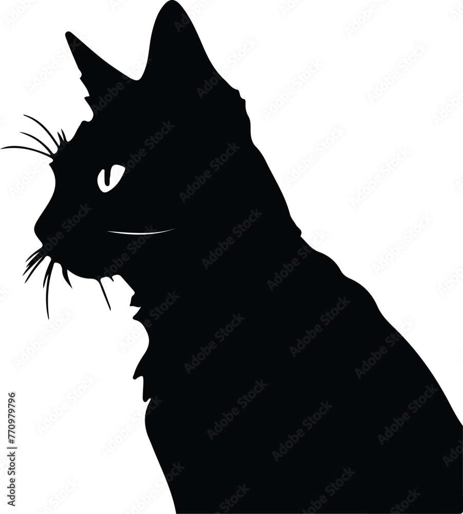 Mekong Bobtail Cat portrait Mekong Bobtail Cat portrait