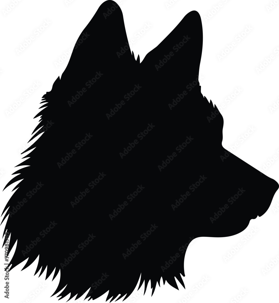 Norwegian Buhund portrait