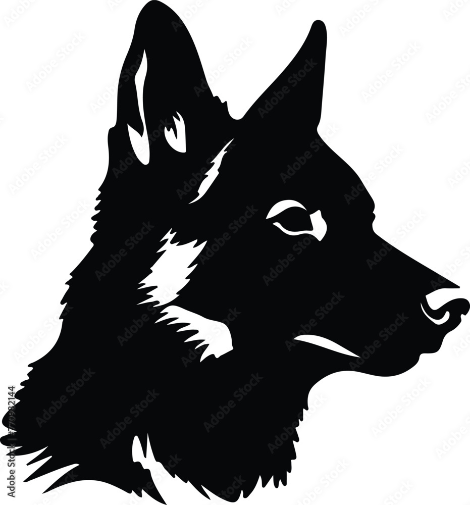 Norwegian Lundehund portrait Norwegian Lundehund portrait