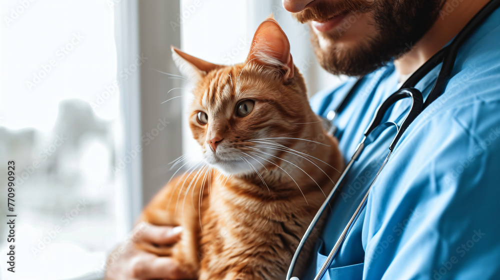 Male veterinarian holding a little cat in his arms Male veterinarian holding a little cat in his arms