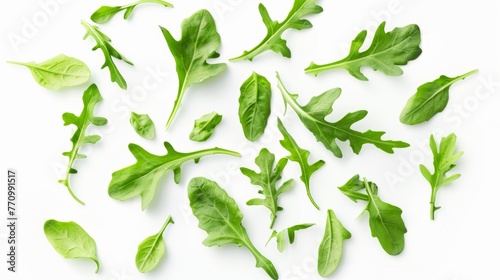 Isolated on white background, fresh arugula leaves photo