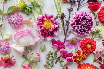colorful flower background