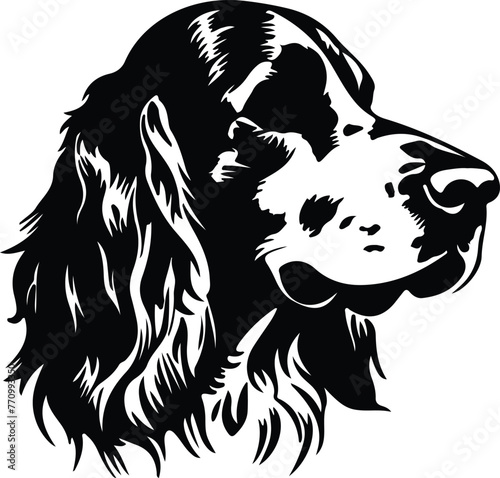 English Setter portrait