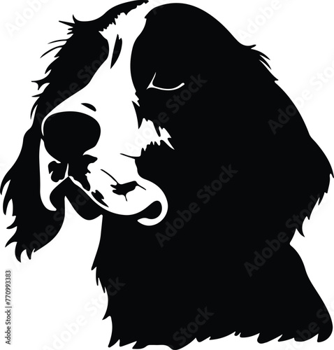 English Setter portrait