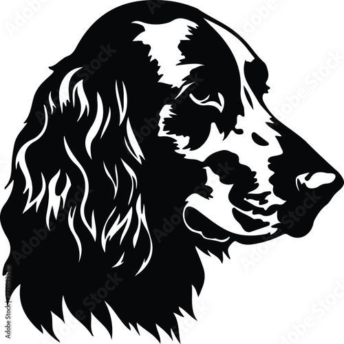 English Setter portrait