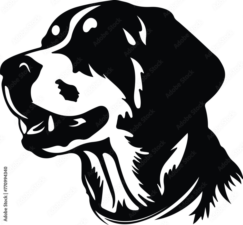 Entlebucher Mountain Dog portrait Entlebucher Mountain Dog portrait