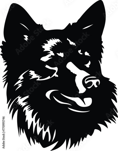 Finnish Spitz portrait