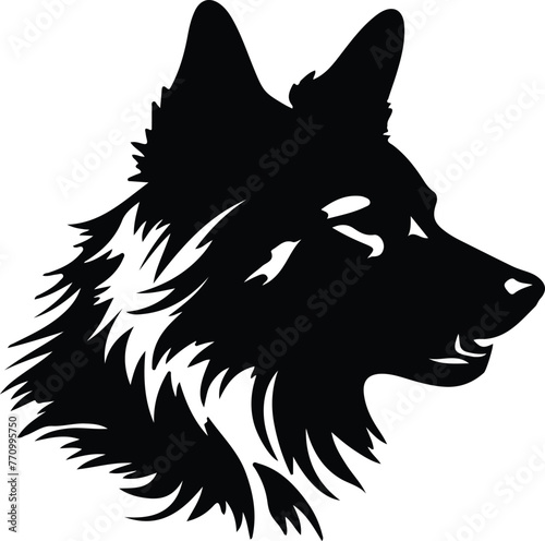 Finnish Spitz portrait