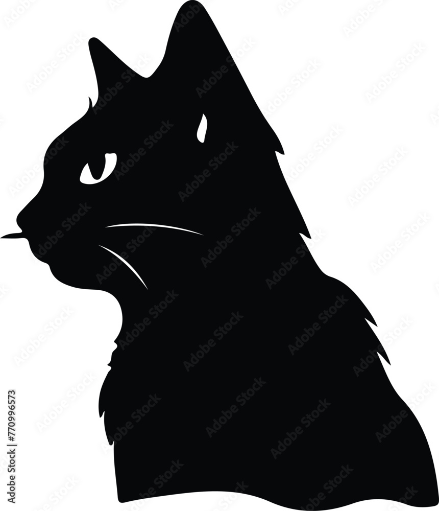 Foldex Cat portrait Foldex Cat portrait